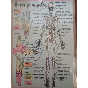 Rompecabezas Quimica QM-002